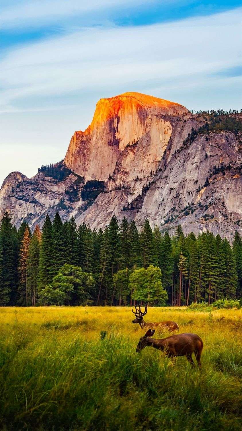 NationalParksPro_Featured1