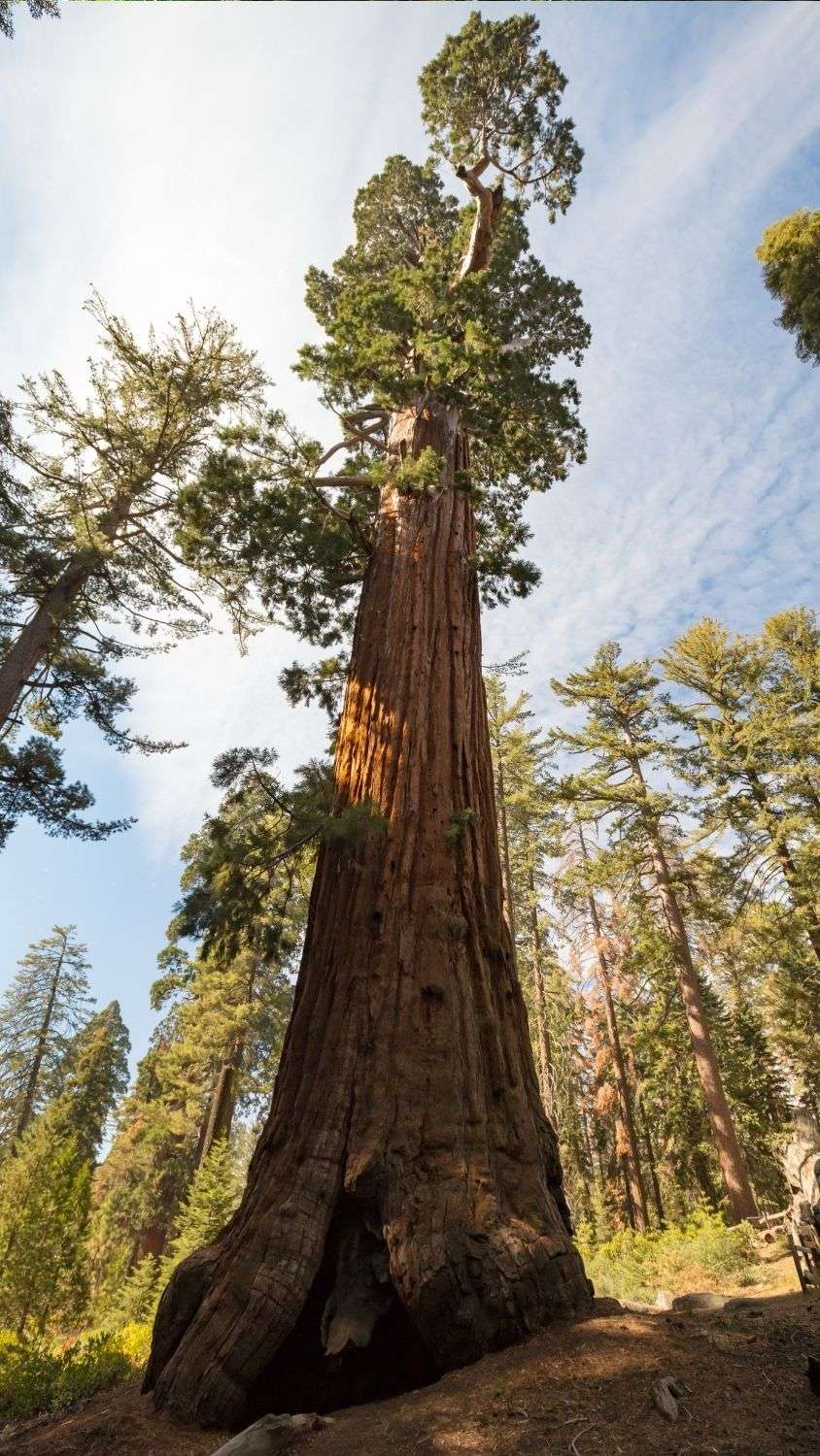 NationalParksPro_Featured24