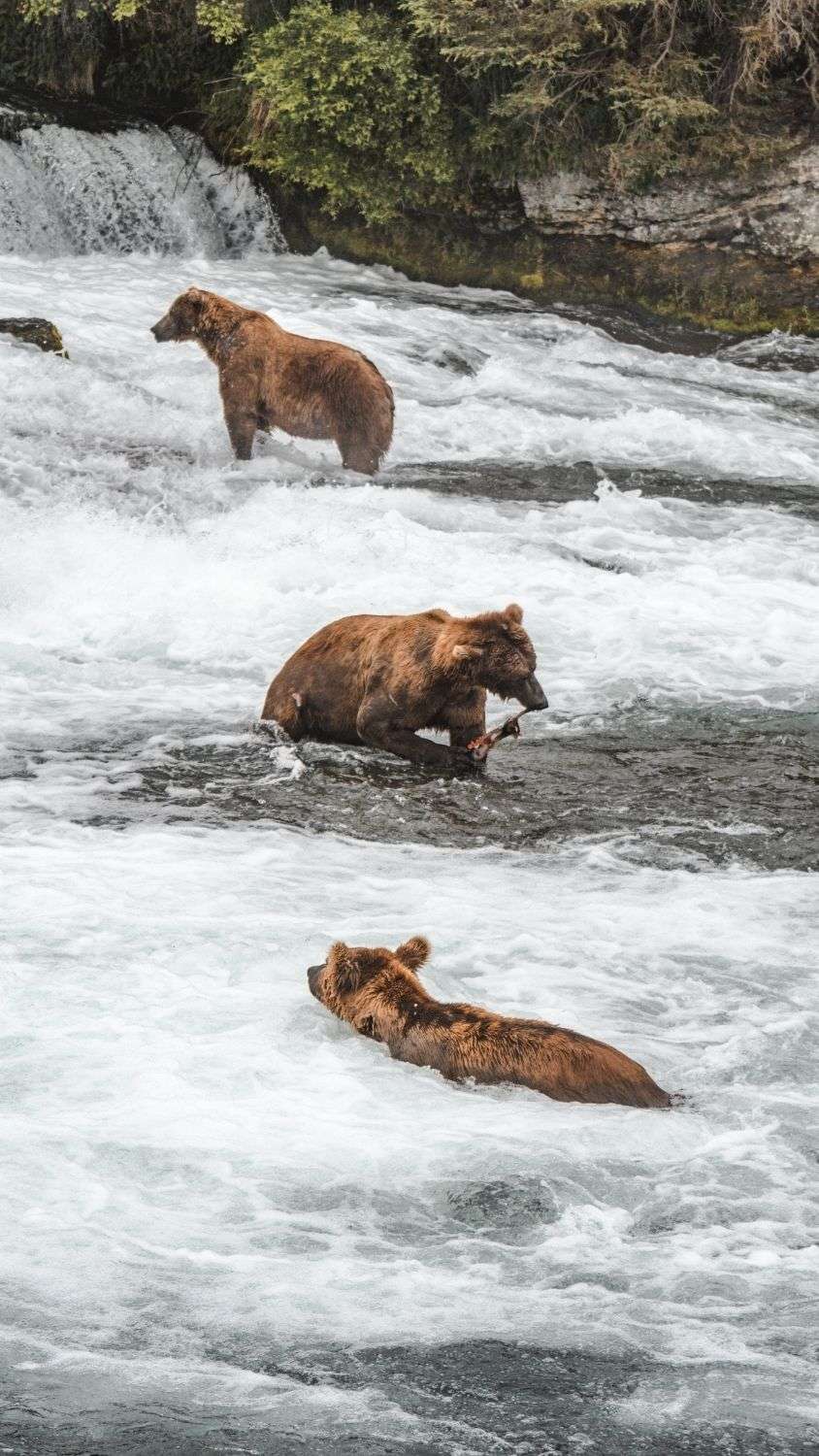 NationalParksPro_Featured42