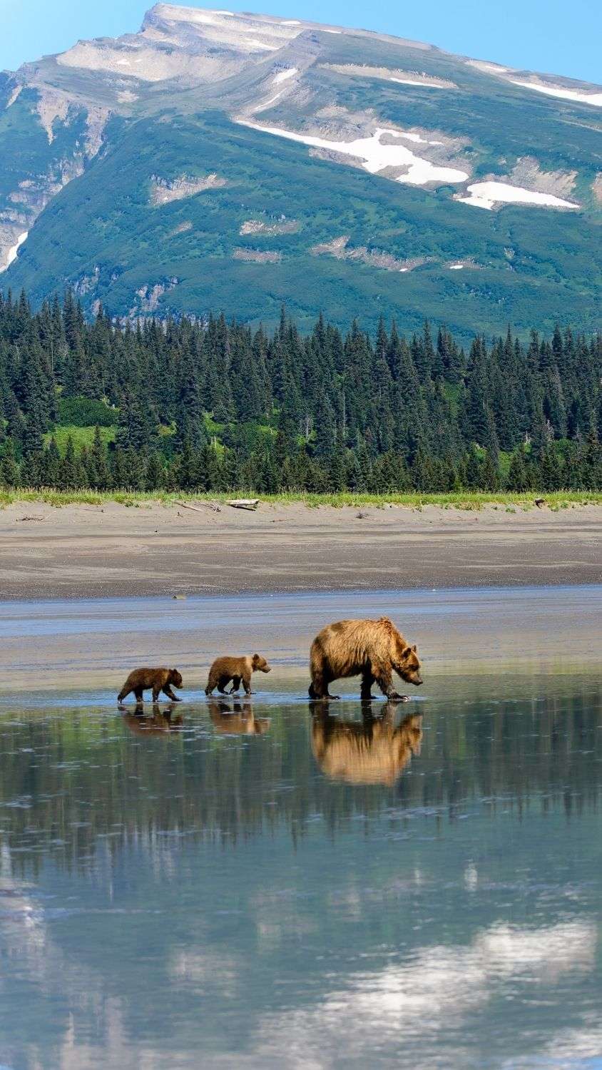 NationalParksPro_Featured47