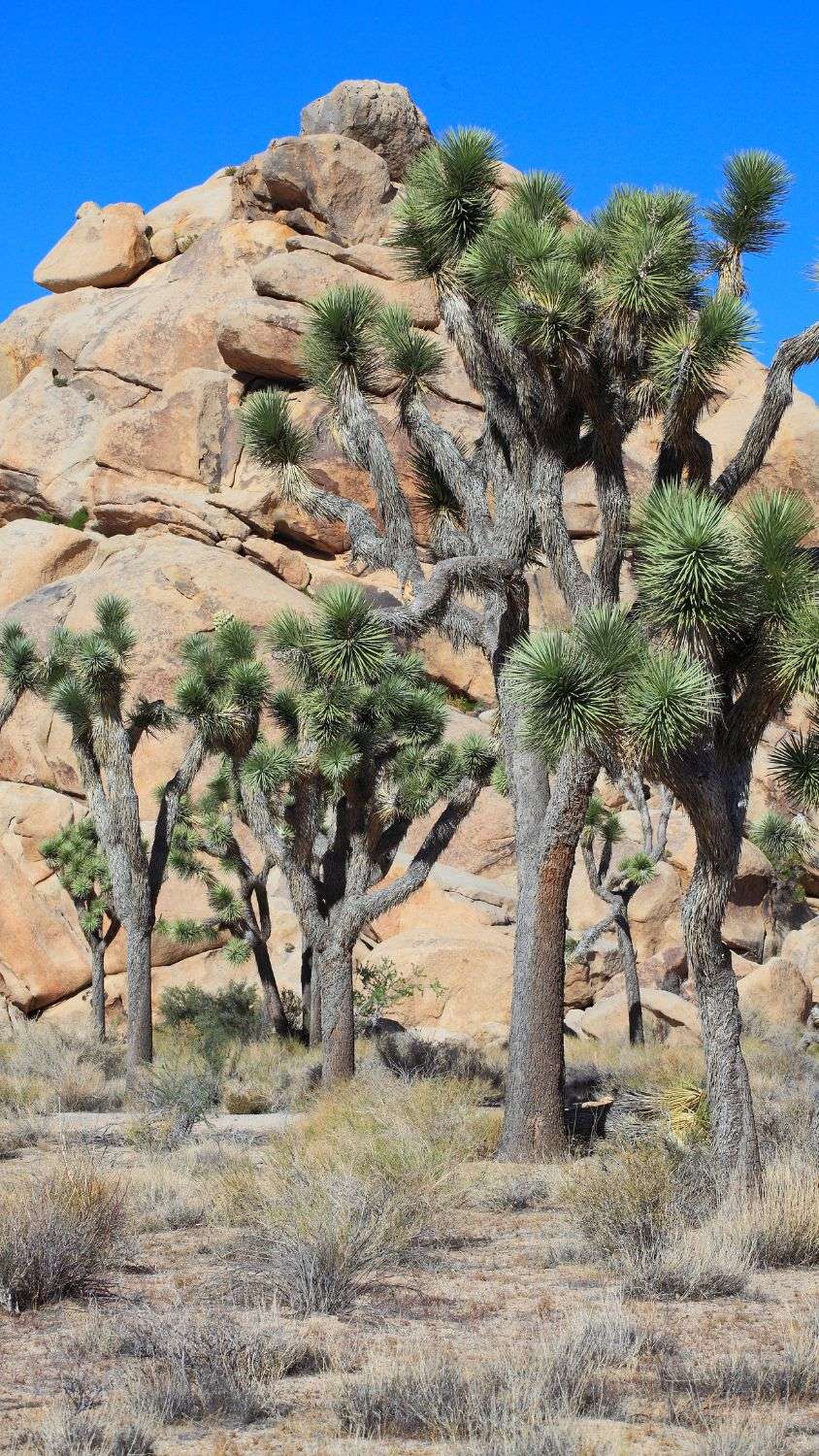 NationalParksPro_Featured54
