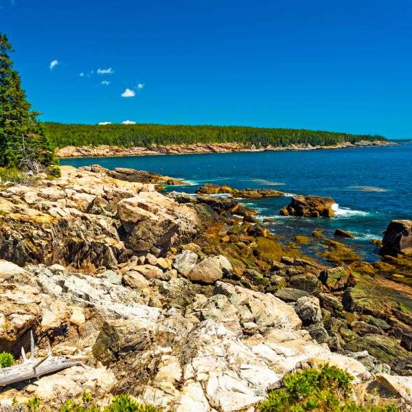 NPP_Acadia1