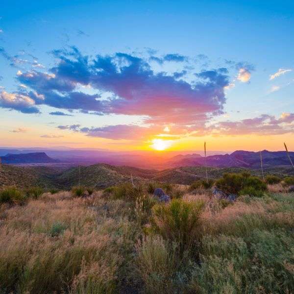 NPP_BigBend1
