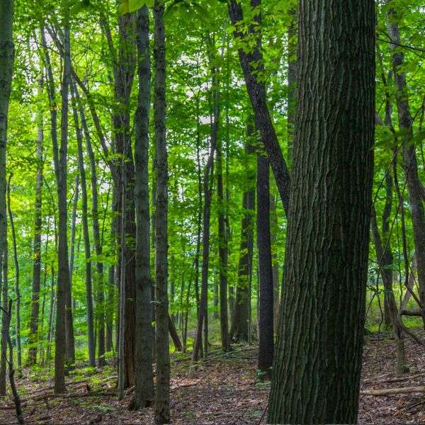NPP_CuyahogaValley1