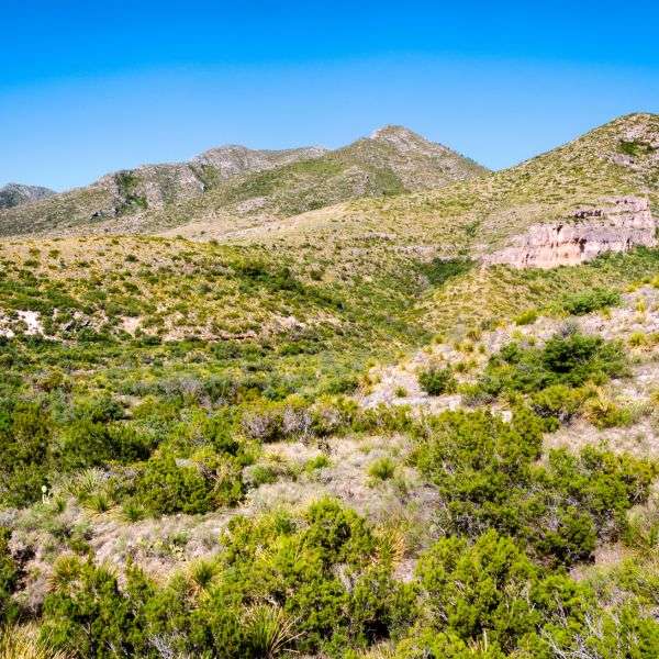 NPP_GuadalupeMountains1