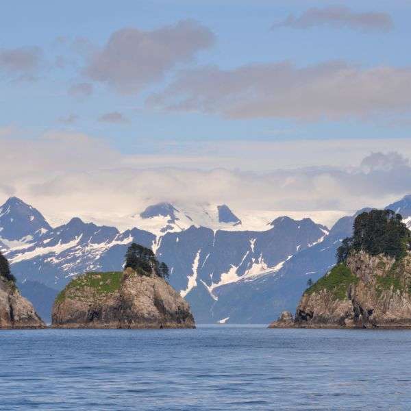 NPP_KenaiFjords1