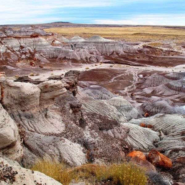 NPP_PetrifiedForest1