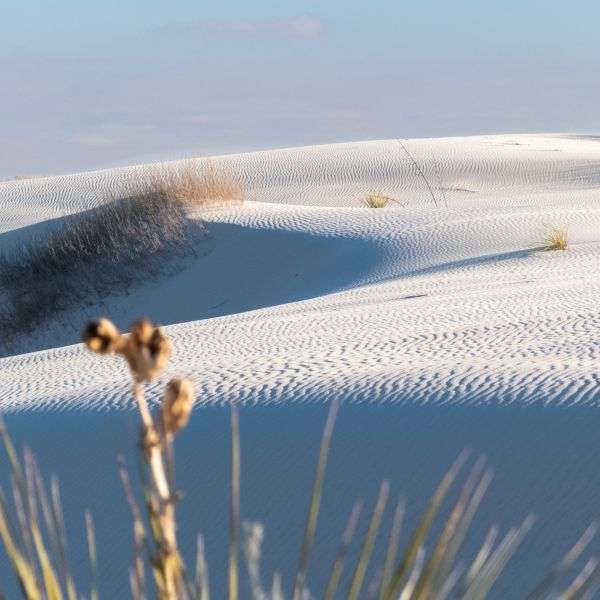NPP_WhiteSands1