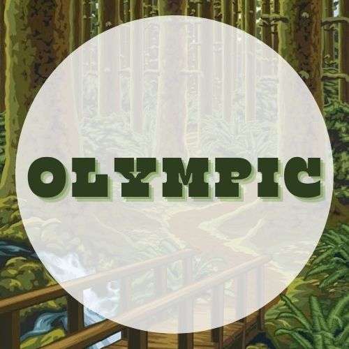 NPEDU_ParkGuide Olympic