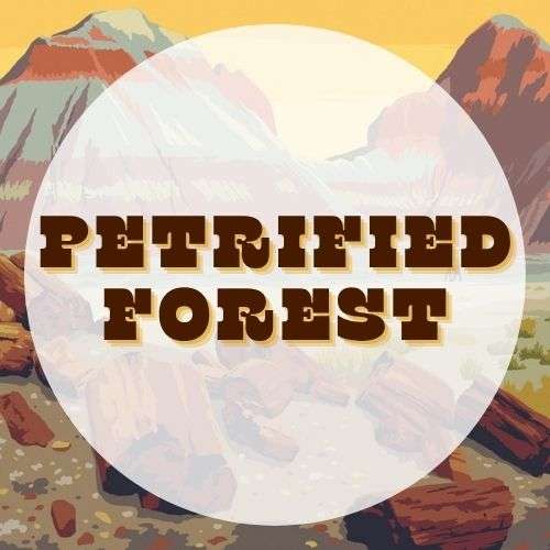 NPEDU_ParkGuide Petrified Forest