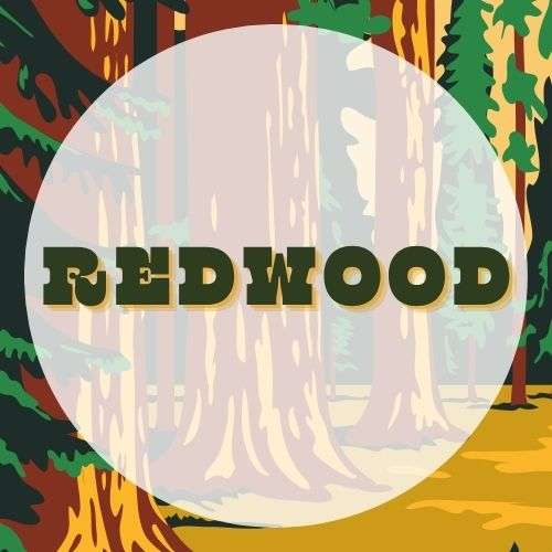 NPEDU_ParkGuide Redwood