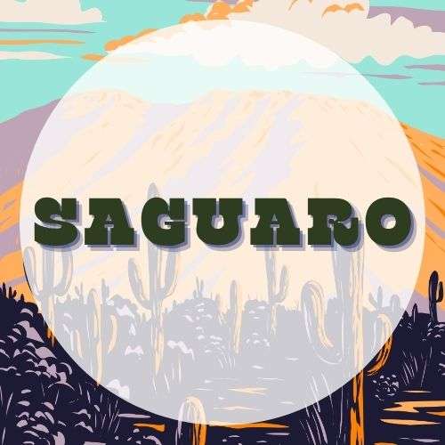 NPEDU_ParkGuide Saguaro